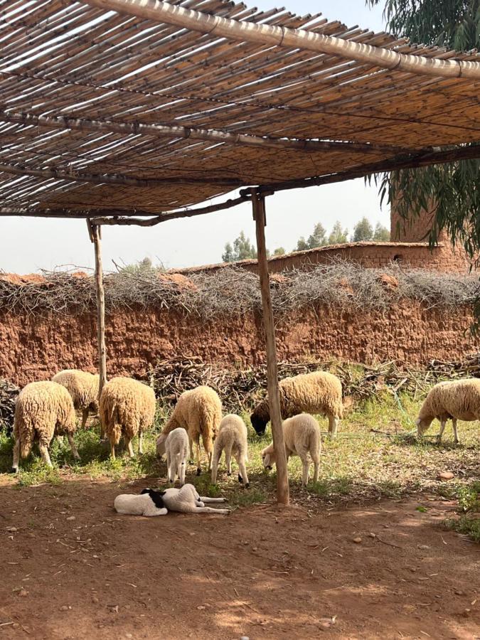 Dar Tasmayoun Aït Ourir Exterior foto
