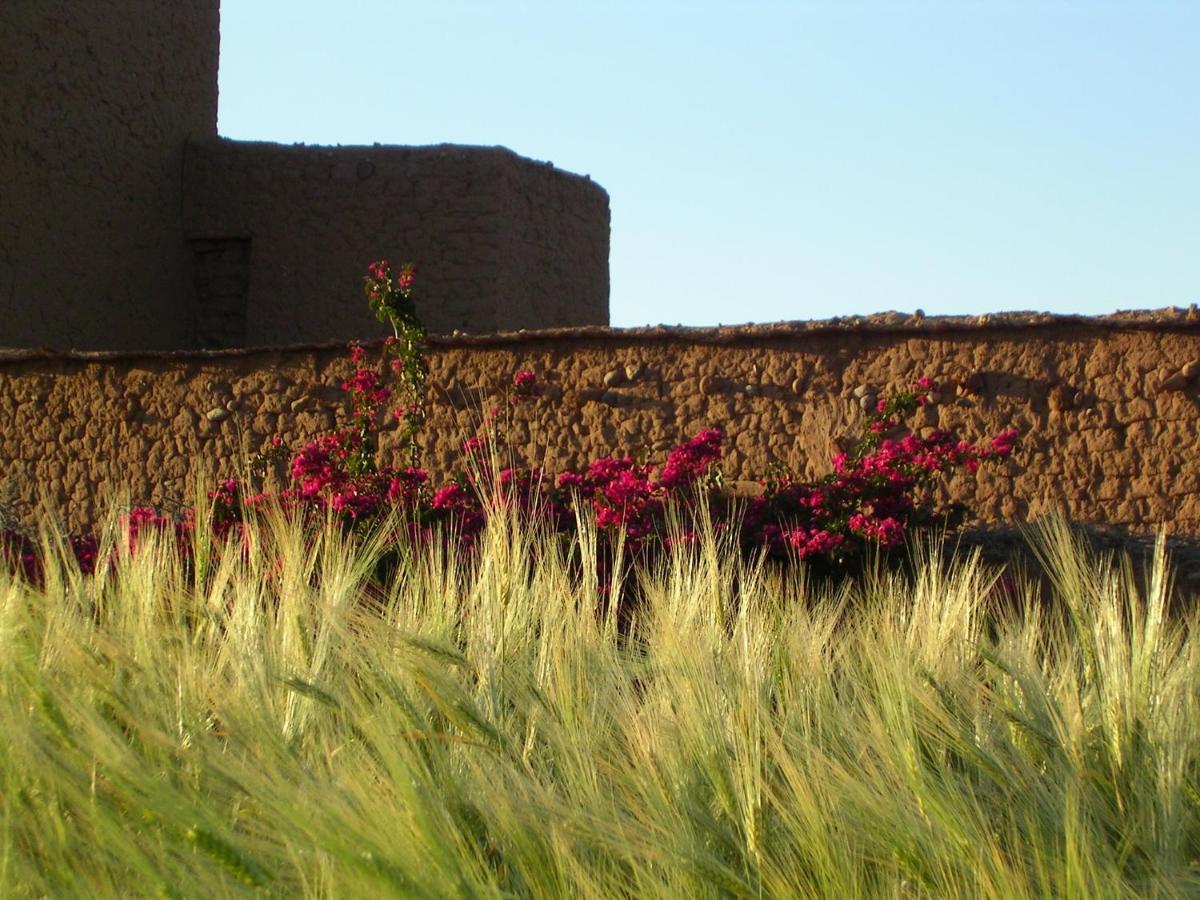 Dar Tasmayoun Aït Ourir Exterior foto